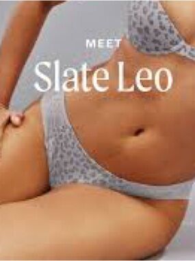 Slate Leo Leopard Print Bikini NWT